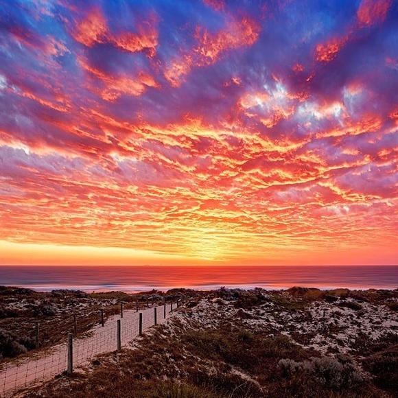 iPHONE CASES!!!!! - Picture 1 of 1